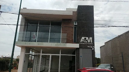 A&M Consultores