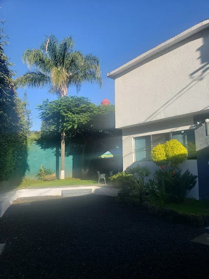 APM MÉXICO Contadores públicos
