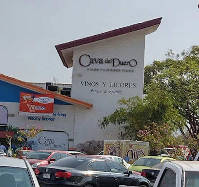 Centro Comercial La Puerta Ixtapa