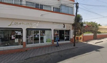 Inmediaconta