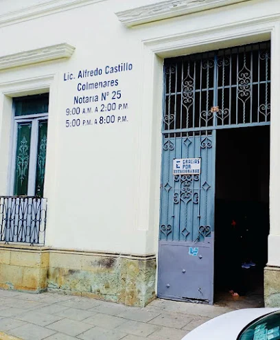 Lic. Alfredo Castillo Colmenares
