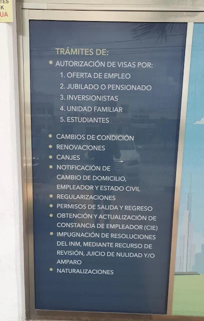 LL CONSULTING FIRM MEXICO (Sucursal)