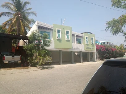 Notaria 57
