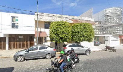 NOTARIA 8