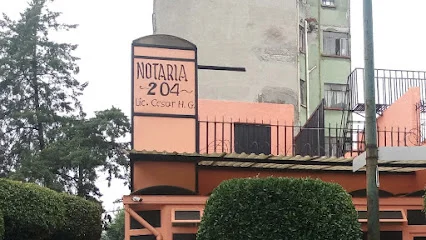 NOTARIA PUBLICA 204.