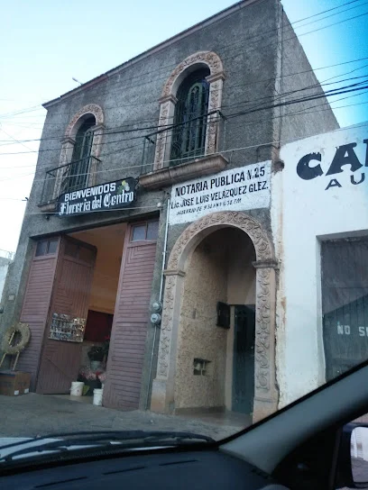 Notaria Publica 25