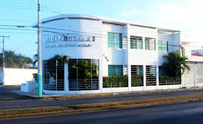 Notaría Pública 43