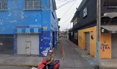 Notaría Pública No. 10