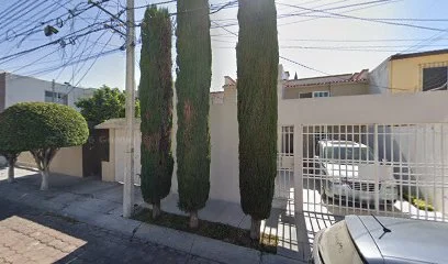 SAE CONTADORES