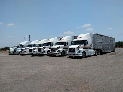 Transportes Monroy Schiavon S. A. de C. V.