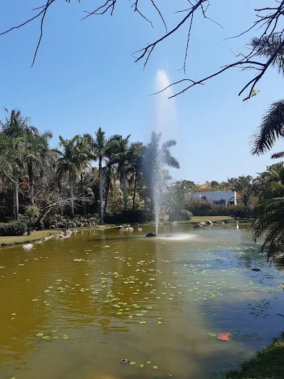 UV - Contaduría